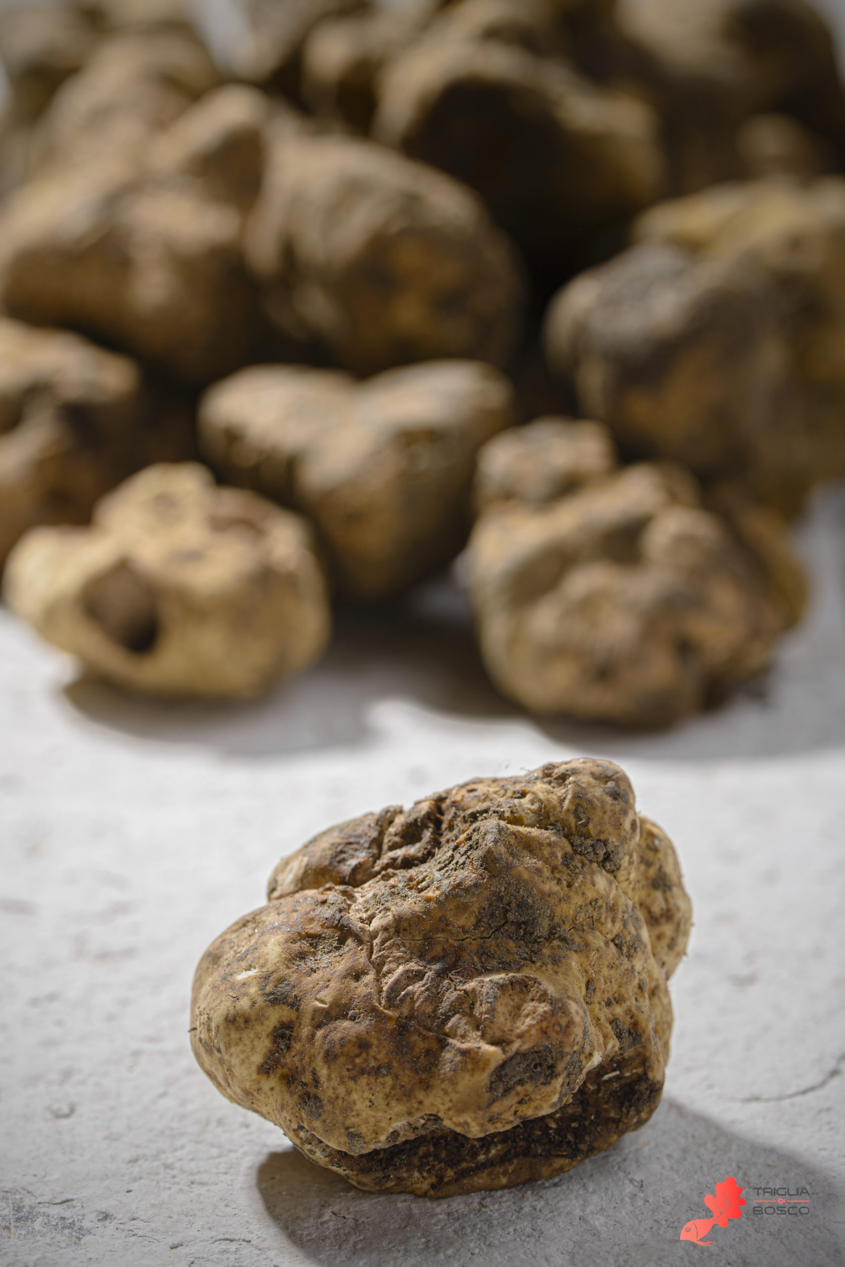 Workshop Food photography - immagine 2